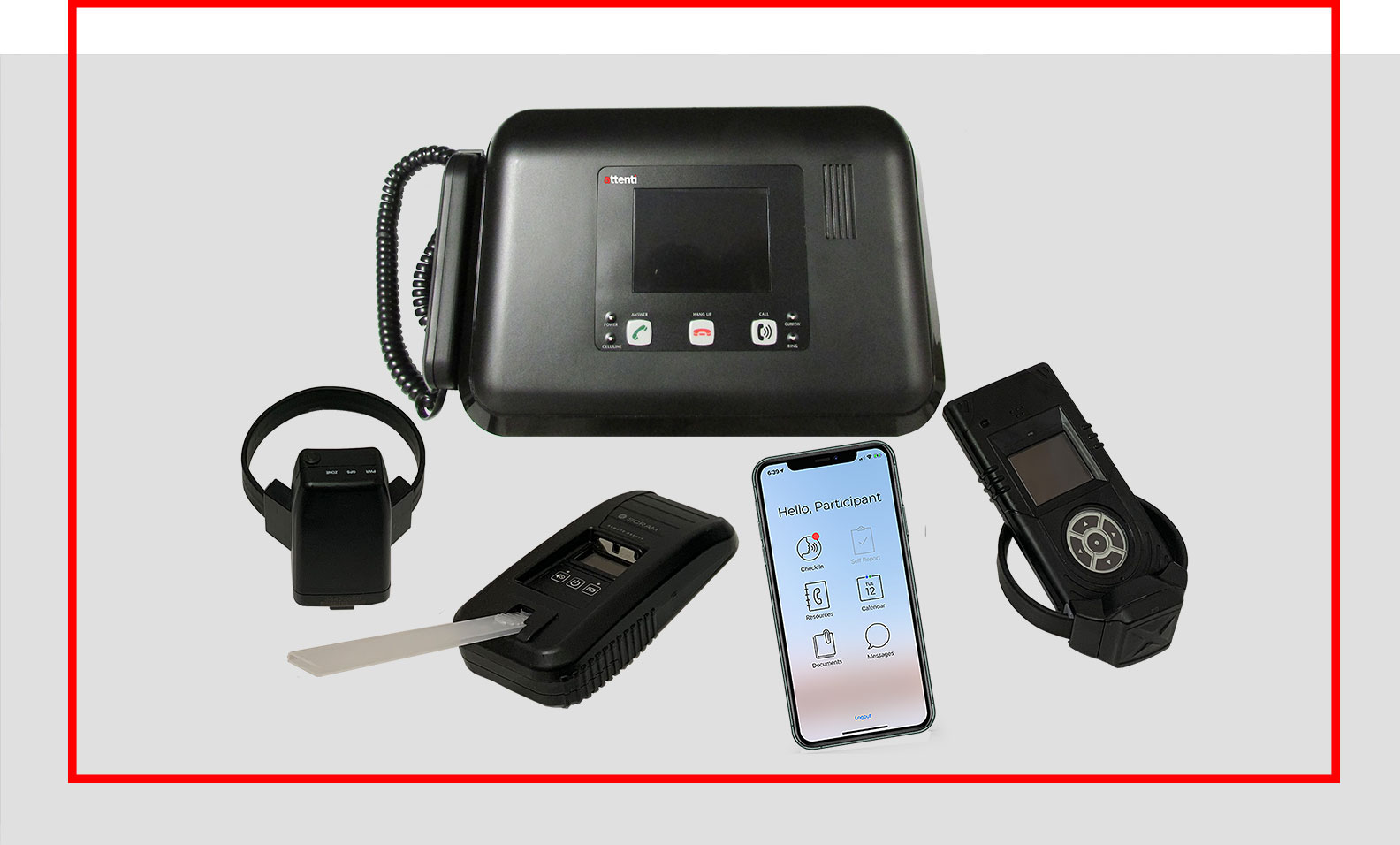 Electronic Monitoring Devices